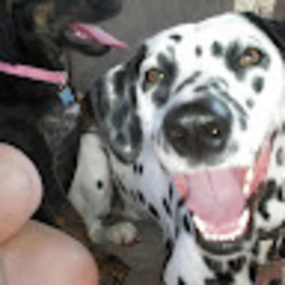 Meet your Posher, Latoya